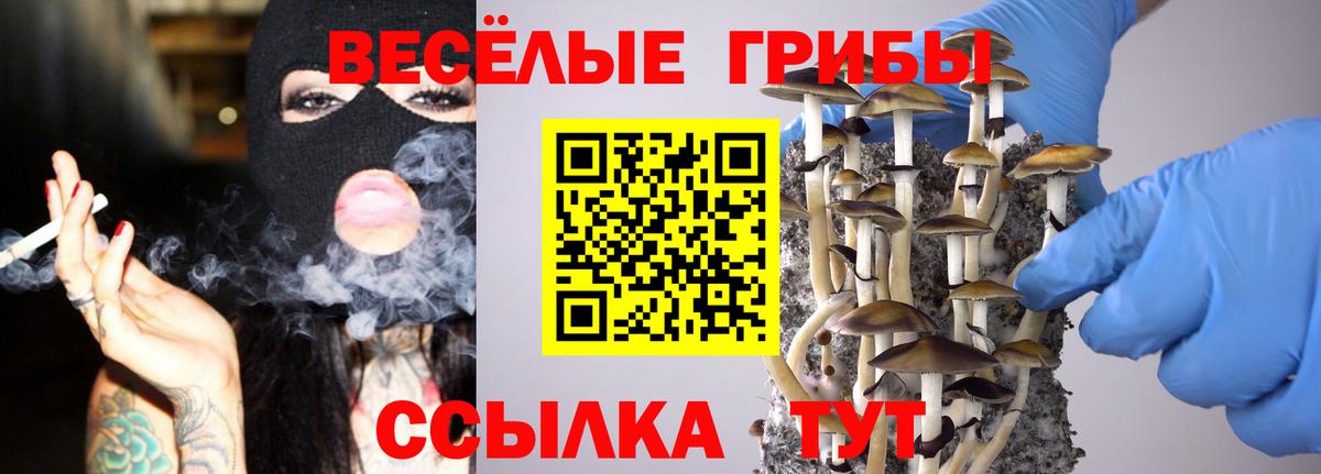 Туймазы  Псилоцибиновые грибы Psilocybine cubensis  Галлюциногенные грибы Magic Shrooms  Вход с VPN 